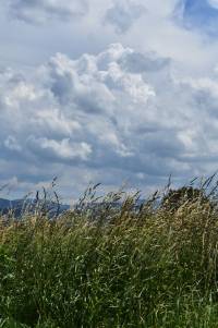 christus-wirkliche-jeuss-fotografie-gott-natur-bilder-1