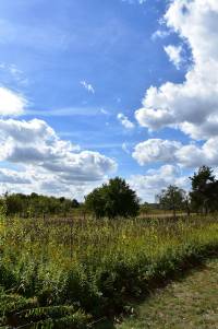 luftwesen-fotografie-gottes-lebendiger-geist-bilder-wsen