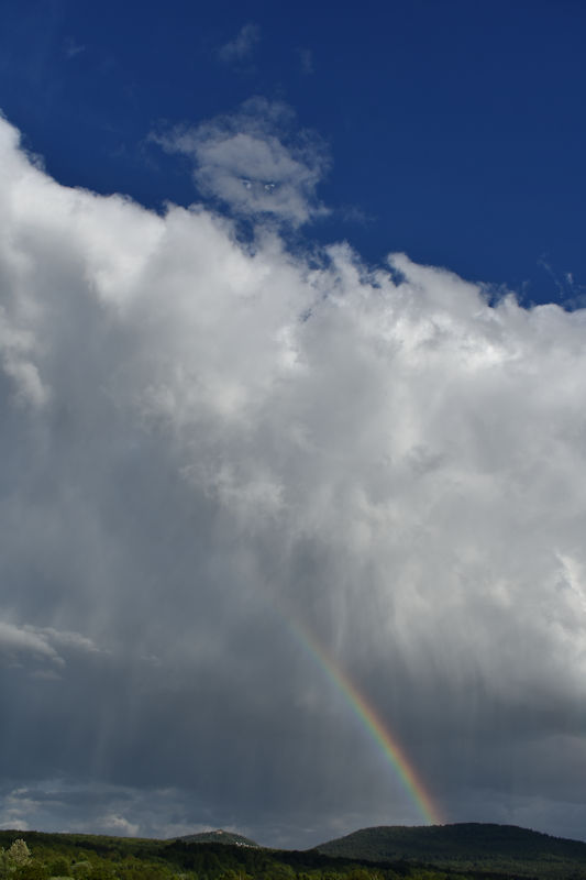 himmel-botschaften-jesus-engel-boten-gottes-wort-fotigrafien-bildworte-heiliger-geist-wse1.jpg
